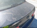 2010 Hyundai Sonata — photo 16 of 17 | VIN 5NPET4AC3AH634985