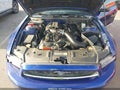 2013 Ford Mustang — photo 10 of 16 | VIN 1ZVBP8AM6D5248084