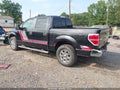 2013 Ford F-150 — photo 3 of 16 | VIN 1FTFW1CF1DKE16115