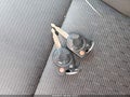 2011 Ford Fusion — photo 11 of 18 | VIN 3FAHP0HA9BR199764