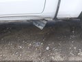 2020 Ram 1500 — photo 21 of 21 | VIN 1C6SRFFT8LN381274