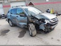 2010 Honda CR-V — photo 1 of 17 | VIN 5J6RE4H56AL025611