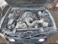 2005 Ford Mustang — photo 10 of 11 | VIN 1ZVFT82HX55185927