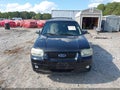 2007 Ford Escape — photo 12 of 16 | VIN 1FMYU94167KB95689