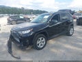 2021 Toyota RAV4 — photo 2 of 17 | VIN 2T3P1RFVXMC244390
