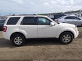 2010 Ford Escape — photo 13 of 16 | VIN 1FMCU9EG3AKC14235