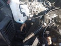 2022 Ford Mustang — photo 17 of 19 | VIN 1FA6P8R04N5553533