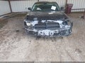 2010 Dodge Charger — photo 6 of 16 | VIN 2B3CA4CDXAH132827