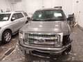 2013 Ford F-150 — photo 13 of 18 | VIN 1FTFW1EF9DKF65711