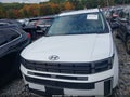 2025 Hyundai Santa Fe — photo 12 of 16 | VIN 5NMP3DGL5SH077303