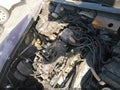 1981 Chevrolet Corvette — photo 6 of 12 | VIN 1G1AY8764B5101837