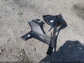2025 Ford Mustang — photo 12 of 17 | VIN 1FA6P8CF5S5406985
