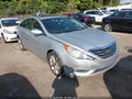 2013 Hyundai Sonata — photo 1 of 11 | VIN 5NPEC4AB5DH782664