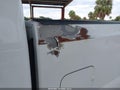 2007 Ford F-350 — photo 21 of 22 | VIN 1FTWW33P17EA24730