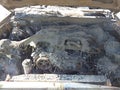 1999 Toyota 4Runner — photo 10 of 11 | VIN JT3HN87R7X0239180