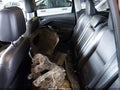 2013 Ford C-Max — photo 12 of 12 | VIN 1FADP5BU0DL521269