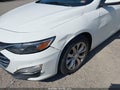 2019 Chevrolet Malibu Limited — photo 6 of 19 | VIN 1G1ZD5ST2KF152094