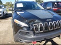2016 Jeep Cherokee — photo 6 of 16 | VIN 1C4PJMBS0GW285307