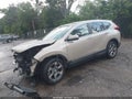 2019 Honda CR-V — photo 2 of 17 | VIN 2HKRW1H56KH504148