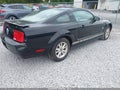 2009 Ford Mustang — photo 4 of 13 | VIN 1ZVHT80N495114892