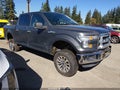 2015 Ford F-150 — photo 1 of 20 | VIN 1FTEW1EG7FFA01569