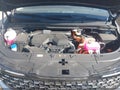 2026 Kia Carnival — photo 10 of 16 | VIN KNDNE5KA6T6110031