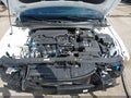 2026 Hyundai Elantra — photo 10 of 19 | VIN KMHLM4DG3TU221746