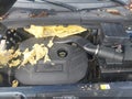 2013 Land Rover LR2 — photo 10 of 12 | VIN SALFR2BG5DH373444