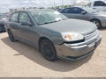 2005 Chevrolet Malibu — photo 1 of 11 | VIN 1G1ZT54845F295919