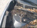 2015 Nissan Altima — photo 12 of 12 | VIN 1N4BL3AP2FC446645