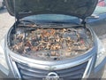 2015 Nissan Altima — photo 6 of 12 | VIN 1N4BL3AP2FC446645