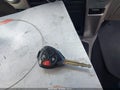 2013 Toyota 4Runner — photo 11 of 17 | VIN JTEBU5JRXD5122411