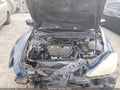 2006 Honda Accord — photo 10 of 16 | VIN 1HGCM56136A027941