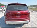2024 Kia Telluride — photo 16 of 16 | VIN 5XYP54GCXRG453251