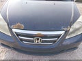 2007 Honda Odyssey — photo 6 of 11 | VIN 5FNRL38607B040860