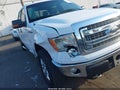 2014 Ford F-150 — photo 17 of 18 | VIN 1FTFW1EF4EFA17254