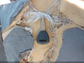 2001 Honda Accord — photo 11 of 13 | VIN 1HGCG165X1A061466