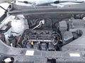2013 Kia Sorento — photo 10 of 11 | VIN 5XYKT3A15DG325428