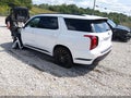 2025 Hyundai Palisade — photo 3 of 17 | VIN KM8R7DGE0SU925462