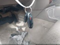 2001 Nissan Pathfinder — photo 11 of 11 | VIN JN8DR09Y11W595315