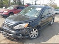 2007 Honda CR-V — photo 2 of 16 | VIN JHLRE48547C084271