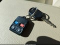 2006 Ford Explorer — photo 11 of 11 | VIN 1FMEU75896ZA14304