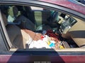 2012 Nissan Murano — photo 5 of 11 | VIN JN8AZ1MU1CW101776