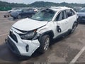 2019 Toyota RAV4 — photo 2 of 12 | VIN JTMA1RFV3KD506099