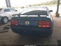 2006 Ford Mustang — photo 16 of 16 | VIN 1ZVHT80N065211549