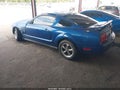2006 Ford Mustang — photo 3 of 16 | VIN 1ZVHT80N065211549