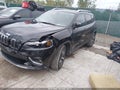 2019 Jeep Cherokee — photo 2 of 16 | VIN 1C4PJLDBXKD325906
