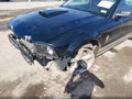 2006 Ford Mustang — photo 6 of 16 | VIN 1ZVHT80N265132013