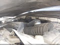 2005 Acura MDX — photo 10 of 11 | VIN 2HNYD18845H528922