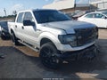2014 Ford F-150 — photo 1 of 16 | VIN 1FTFW1EF9EKD66935